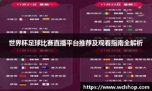 世界杯足球比赛直播平台推荐及观看指南全解析
