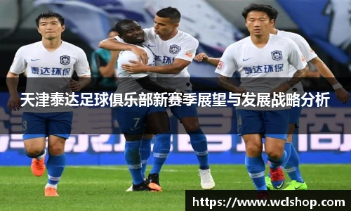 天津泰达足球俱乐部新赛季展望与发展战略分析