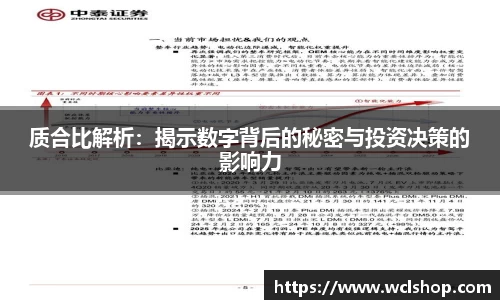 质合比解析：揭示数字背后的秘密与投资决策的影响力