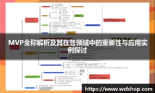 MVP全称解析及其在各领域中的重要性与应用实例探讨